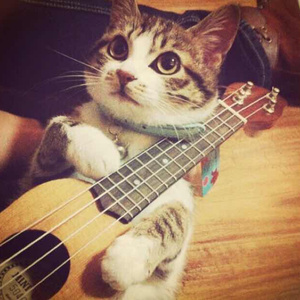 一个吃奶一个添下边18禁欧美
