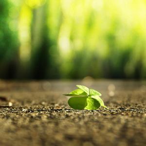 一个吃奶一个添下边18禁欧美
